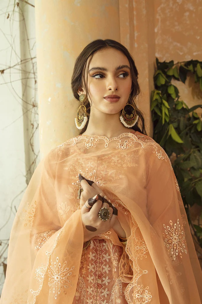 Meena Kumari By Aabyaan Embroidered Chikankari Lawn 3pc Suits Unstitched AB-01 Jahan Ara