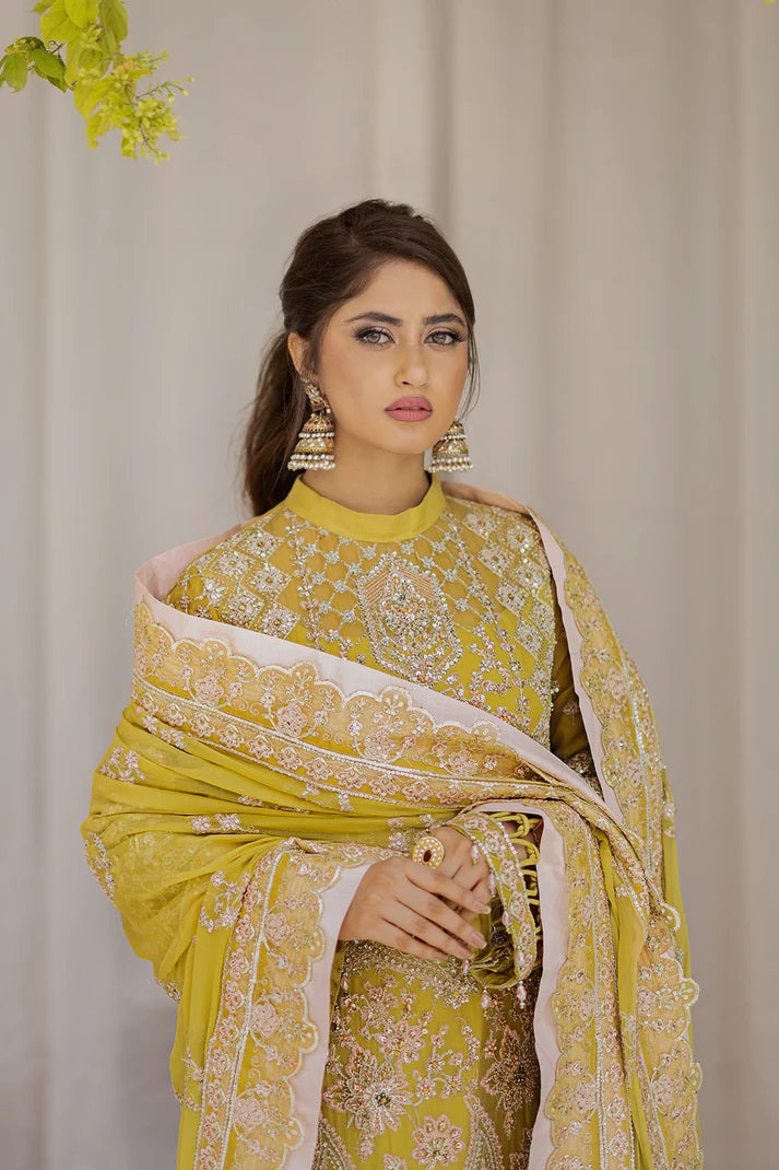 Ishq Aatish by Emaan Adeel Embroidered Chiffon Suits Unstitched 3 Piece EA23IA-06 Farah - Luxury Collection