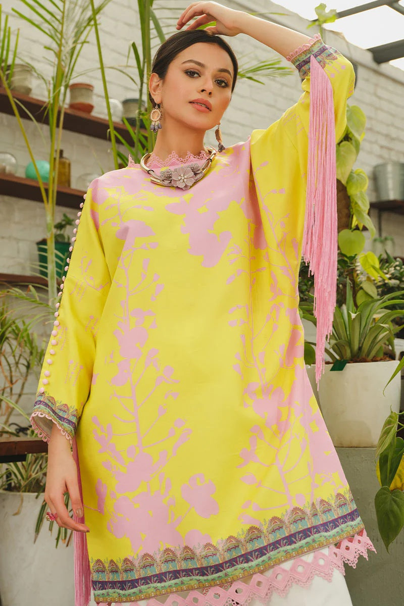 Rang Rasiya Printed Lawn Unstitched Kurti RRT-04 Starling - Pret Collection