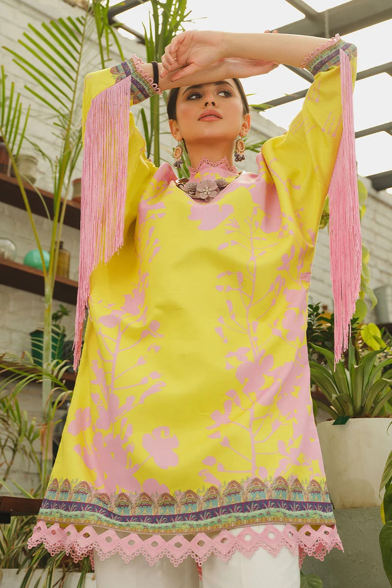 Rang Rasiya Printed Lawn Unstitched Kurti RRT-04 Starling - Pret Collection