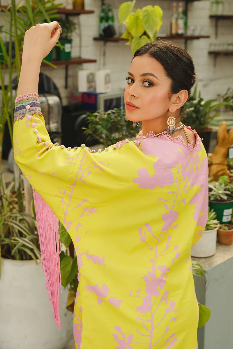 Rang Rasiya Printed Lawn Unstitched Kurti RRT-04 Starling - Pret Collection