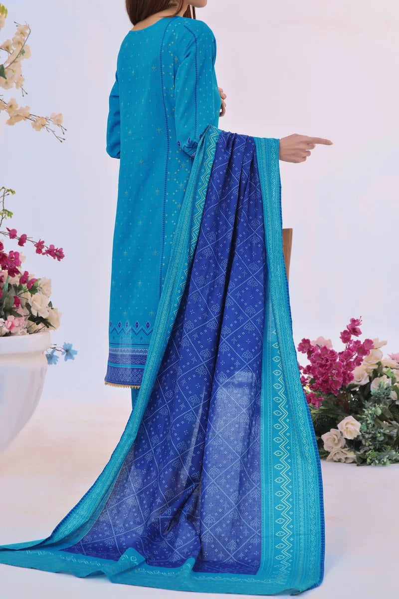 Daman By VS Textiles Printed Lawn Suits Unstitched 3 Piece VS24-D1 2911-A - Summer Collection