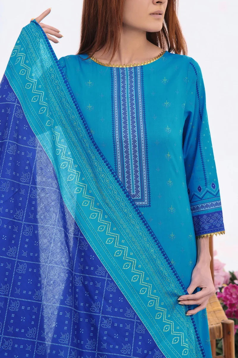 Daman By VS Textiles Printed Lawn Suits Unstitched 3 Piece VS24-D1 2911-A - Summer Collection