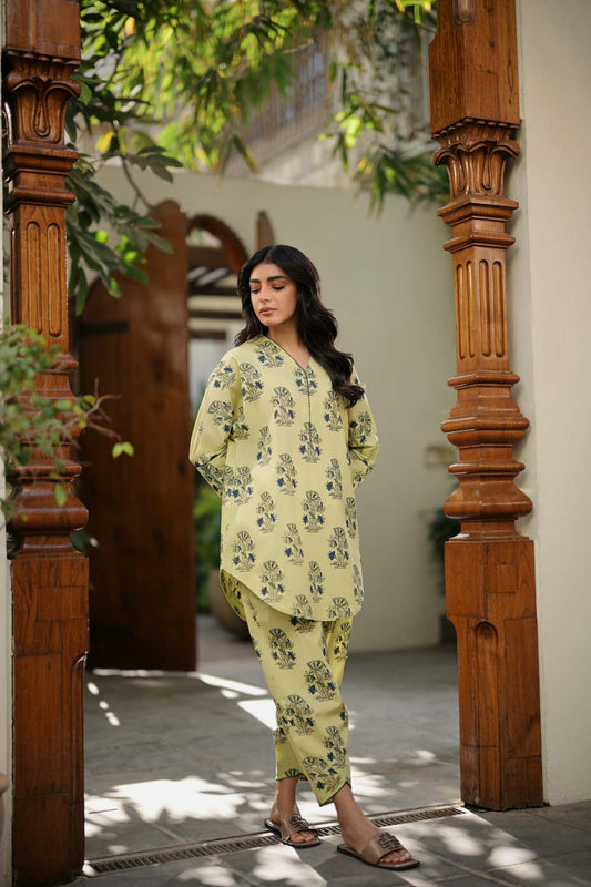 Sahar Printed Lawn Suits Unstitched 2 Piece SHR-S24-PL-V1-18 - Summer Collection