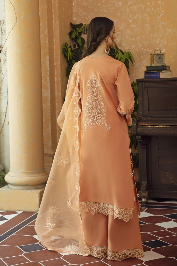 Meena Kumari By Aabyaan Embroidered Chikankari Lawn 3pc Suits Unstitched AB-01 Jahan Ara