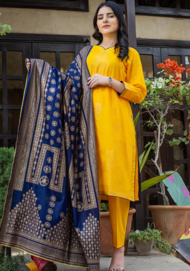 Banarsi Banarsi Lawn 3 piece Unstitched Dress - 3B
