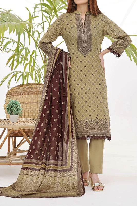 Daman By VS Textiles Printed Lawn Suits Unstitched 3 Piece VS24-D1 2905-A - Summer Collection