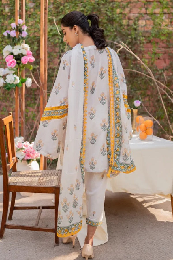 Print Diary by Rashid Textile Digital Printed Lawn Unstitched 3 Piece Dress - RTPD-8764