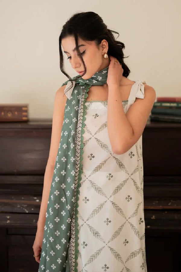 Print Diary by Rashid Textile Digital Printed Lawn Unstitched 3 Piece Dress - RTPD-8767