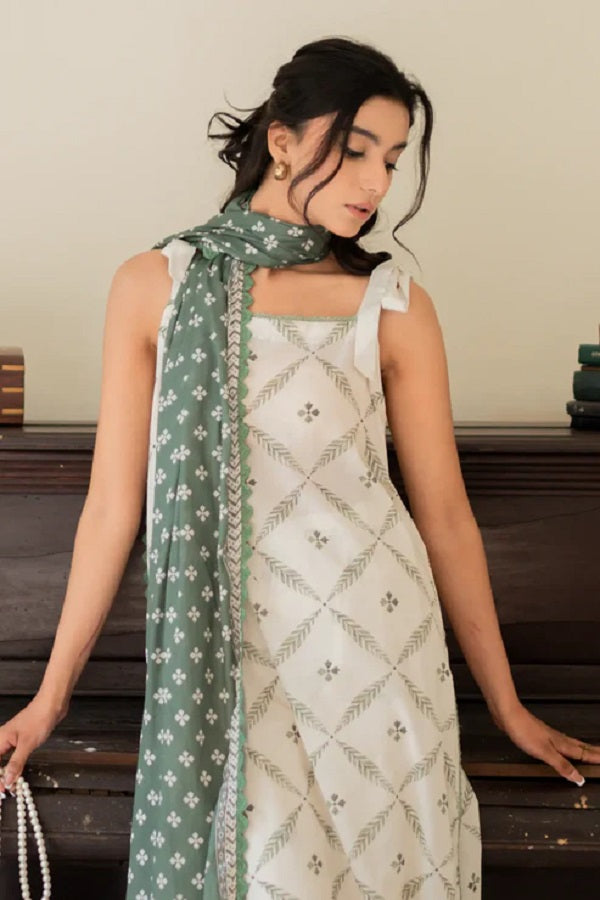 Print Diary by Rashid Textile Digital Printed Lawn Unstitched 3 Piece Dress - RTPD-8767