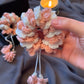 Crochet Jasmine Gajra- Pink & White