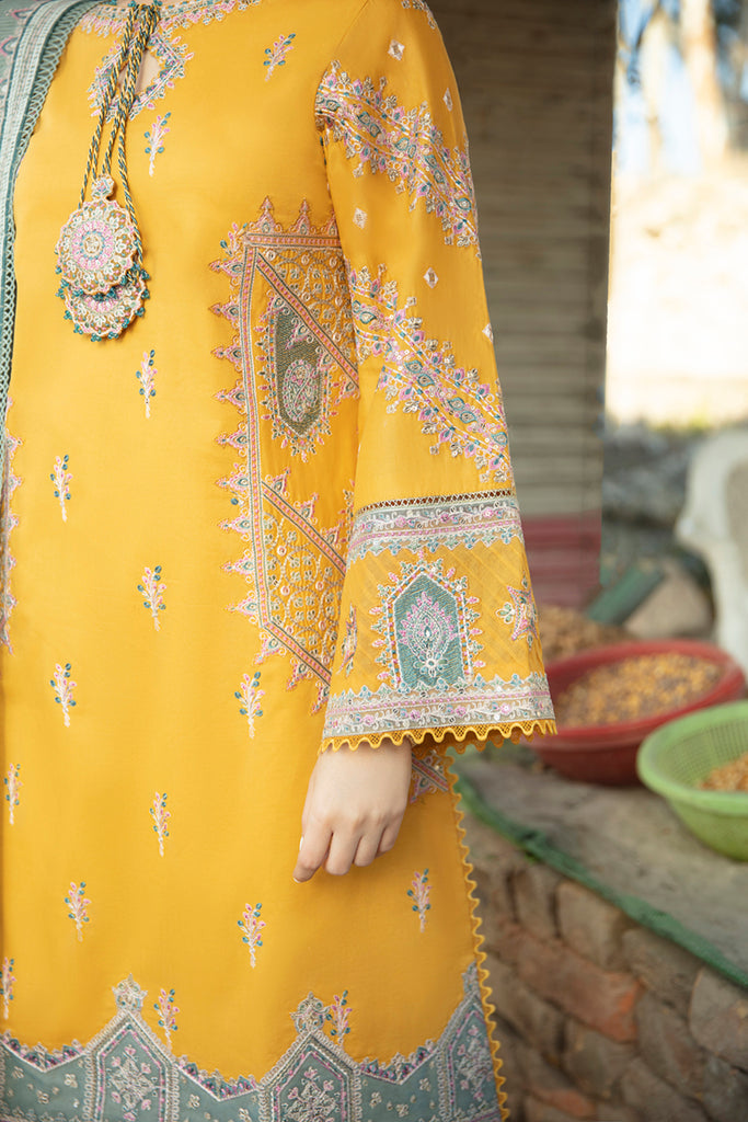 Qalamkar Marahil Embroidered Lawn Suits Unstitched 3 Piece SS-12 FEARIE