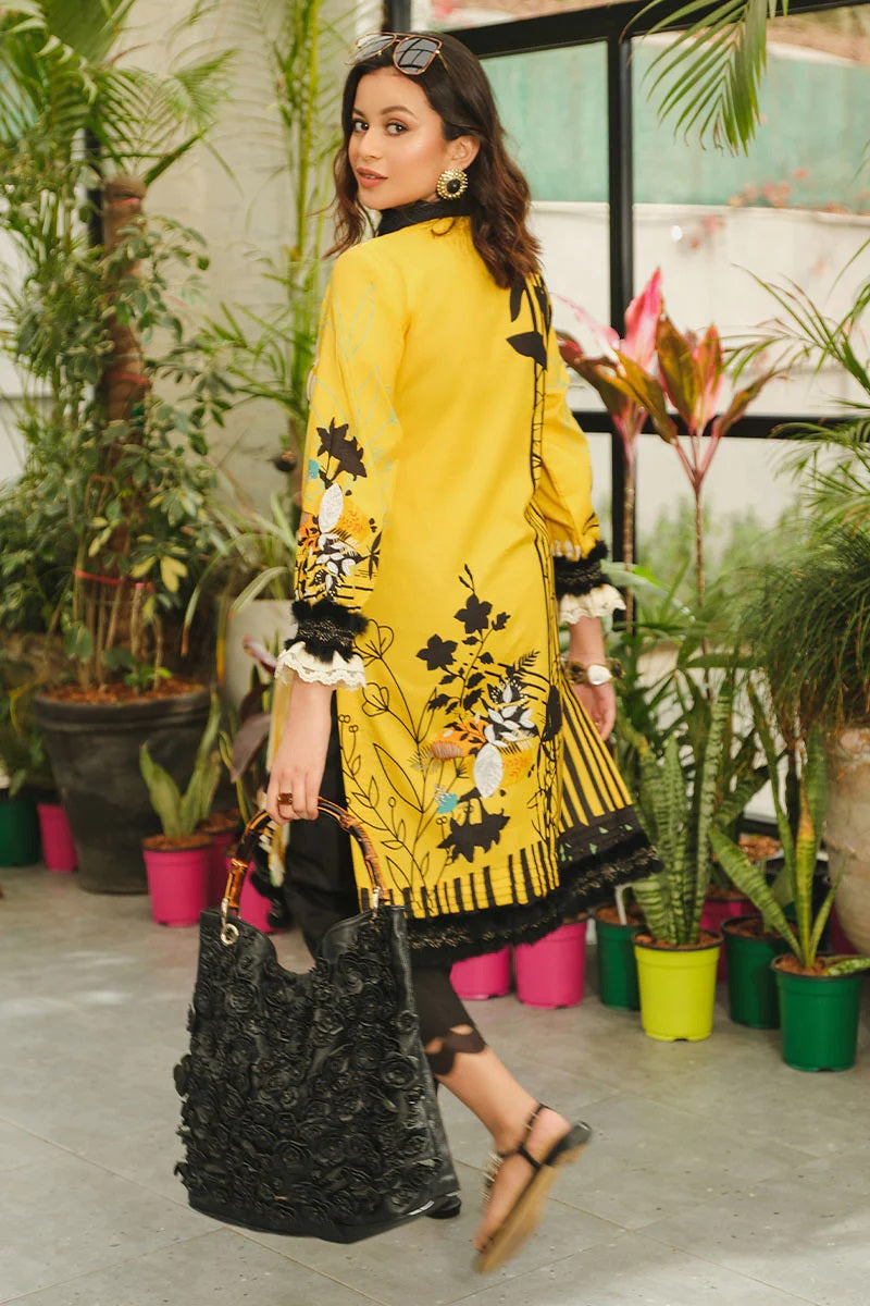 Rang Rasiya Printed Lawn Unstitched Kurti RRT-01 Mellow - Pret Collection