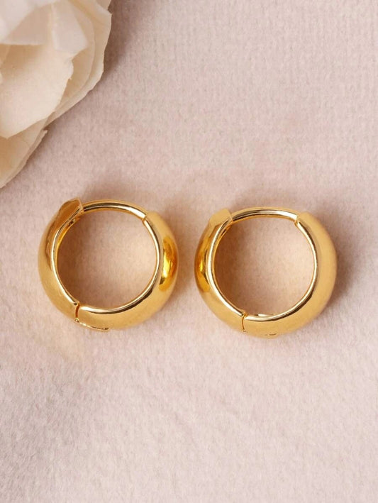 Stylish Hoop Earrings - HDJ 036