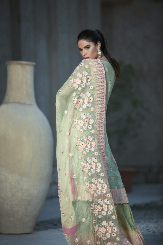 Ayesha Ibrahim Luxury Chiffon Unstitched 3 Piece Suit - 8A